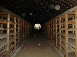 �L�m�R�͔|�H�񎟗��p������l����詓�