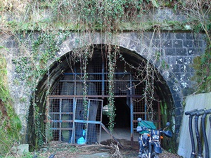 �A�[�`�ɎO�A�̔��΂�����l����詓��̃|�[�^��