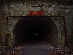 ������詓�5�^ORR