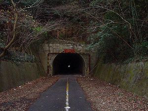 ������詓�6�^ORR