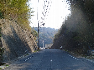 ����詓��J���