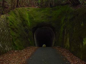 ���z��詓�6�^ORR