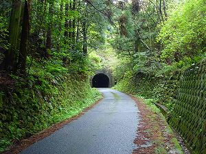 ���@詓�1�^ORR