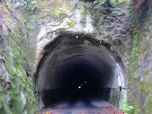 ���@詓�5�^ORR