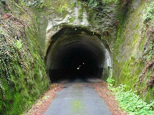 ���@詓�6�^ORR