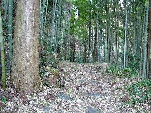 �쌴詓�1-5�^ORR