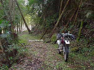 �쌴詓�1-6�^ORR