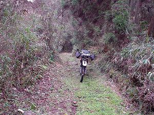 �쌴詓�1-7�^ORR