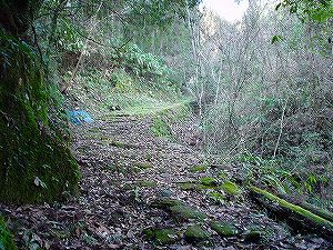 �쌴詓�2-1�^ORR