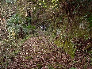 �쌴詓�2-2�^ORR