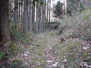 �쌴詓�2-5�^ORR