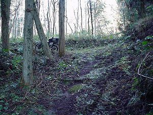 �쌴詓�2-6�^ORR