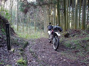 �쌴詓�3-5�^ORR