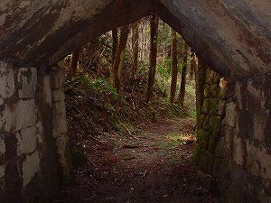 �쌴詓�4-6�^ORR