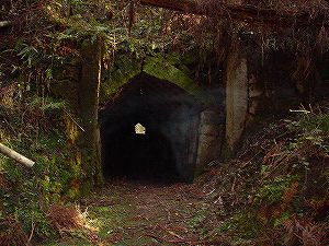 �쌴詓�5-1�^ORR