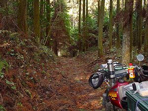 �쌴詓�5-3�^ORR