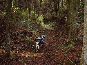 �쌴詓�5-4�^ORR