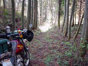 �쌴詓�5-5�^ORR