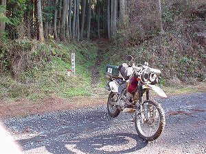 �쌴詓�5-6�^ORR