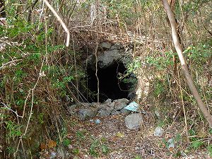 �P��詓�2-2�^ORR