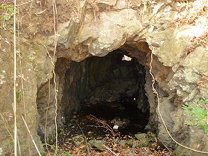 �P��詓�2-3�^ORR