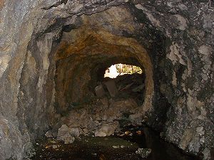 �P��詓�2-4�^ORR