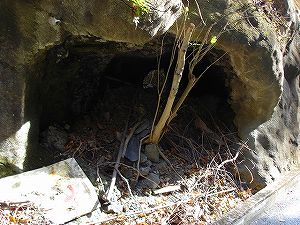 �P��詓�2-5�^ORR