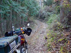 ���詓�(��Γ�)1-4�^ORR