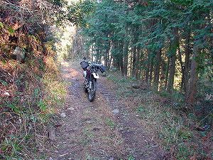 ���詓�(��Γ�)1-5�^ORR