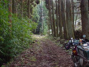 ���詓�(��Γ�)1-6�^ORR