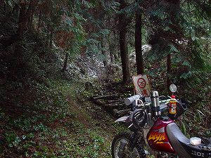 ���詓�(��Γ�)2-1�^ORR