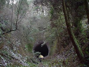 ���詓�(��Γ�)2-5�^ORR