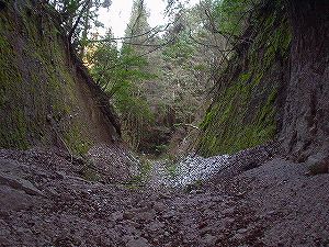 ���詓�(��Γ�)3-3�^ORR