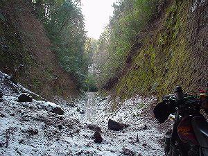 ���詓�(��Γ�)4-3�^ORR