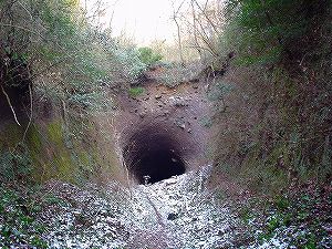 ���詓�(��Γ�)4-6�^ORR