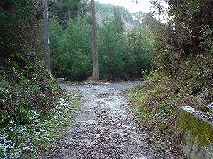 ���詓�(��Γ�)5-2�^ORR