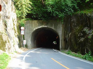 ����詓�6�^ORR