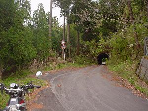 ���q��(��ꈢ�q詓�)