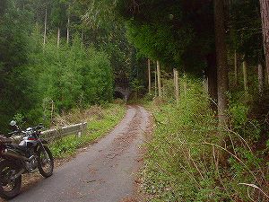 ���q��(��񈢎q詓�)