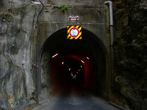 �[�]詓�[ORR�̓��H�����񍐏�]