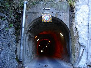 �[�]詓�[ORR�̓��H�����񍐏�]