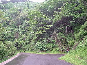 ����詓�/�����g���l��