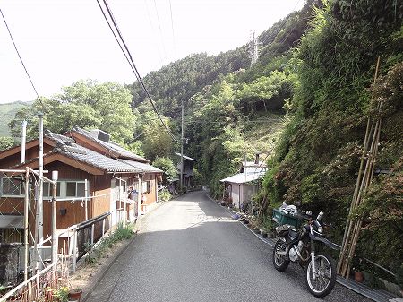 ���ŗt詓��Q