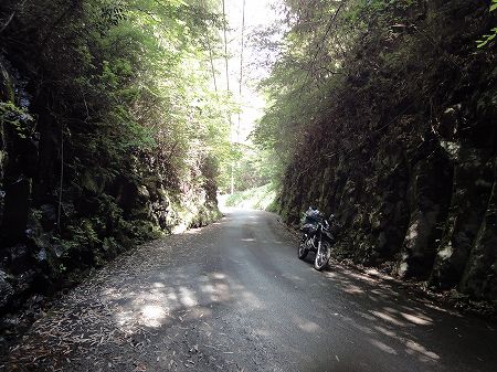 ���ŗt詓��R