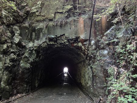 ���ŗt詓��S