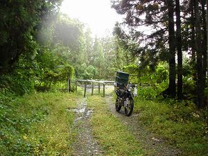 ��詓�1-4�^ORR