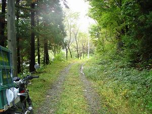 ��詓�1-5�^ORR