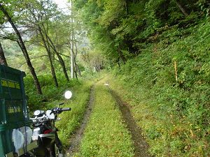 ��詓�2-1�^ORR