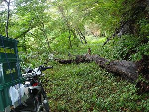 ��詓�2-4�^ORR