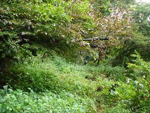 ��詓�2-5�^ORR